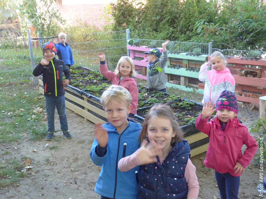 Gemüse selbst angebaut