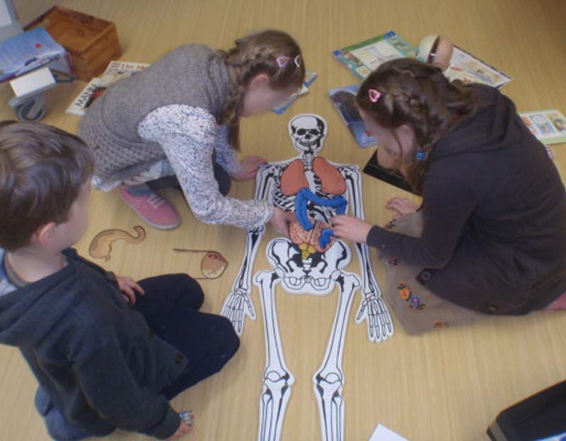 Wir erforschen unseren Körper und berechnen unseren ökologischen Fußabdruck